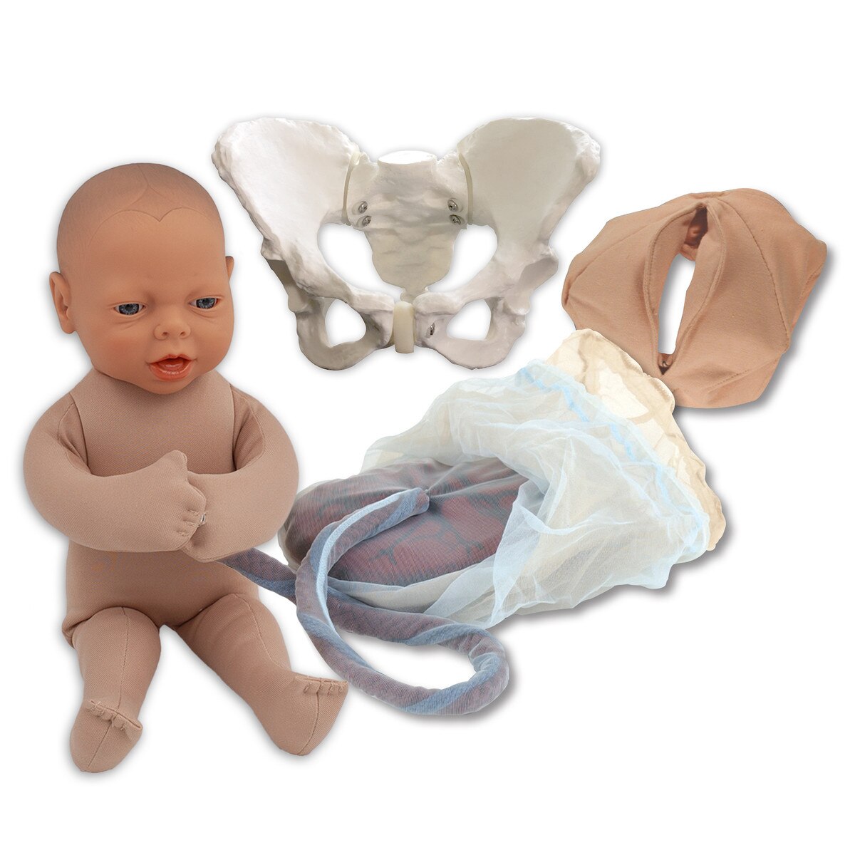 78968 Childbirth Model Set