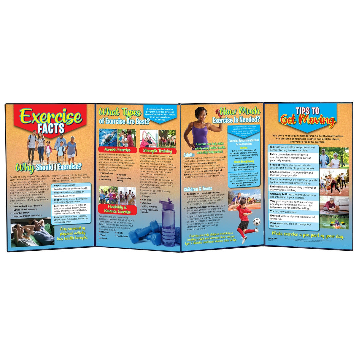 Exercise Facts Folding Display 79293 | Fitness Education | Health Edco ...