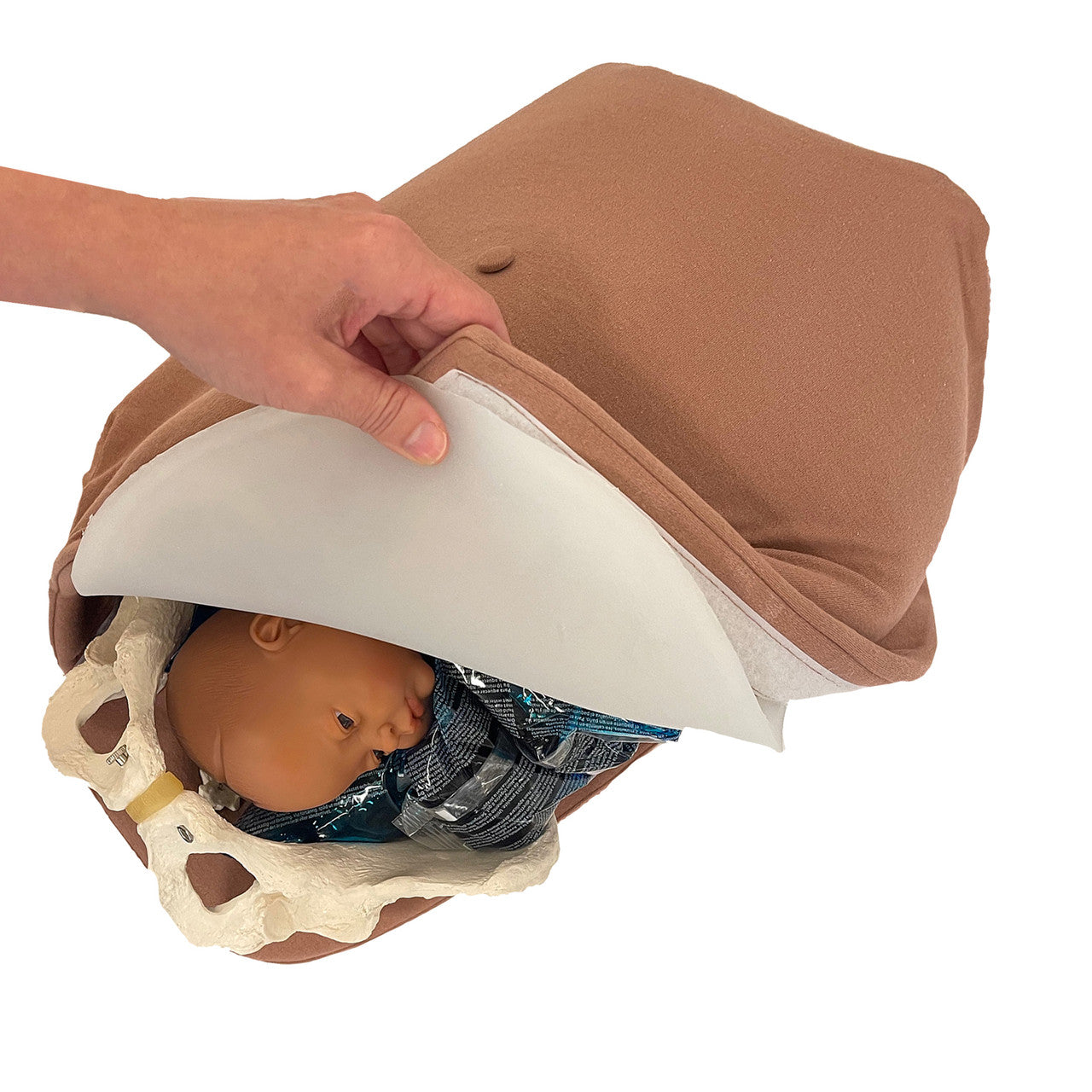 Abdominal Palpation Model