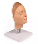 Switch Model Head for Facial Injections 8100 Image 2 3 image
