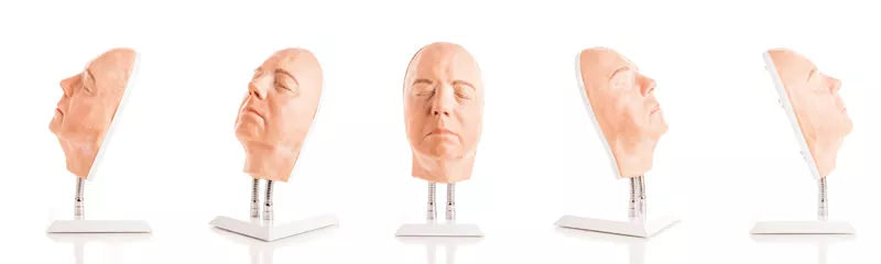 Model Head for Facial Injections 8110 Image 2