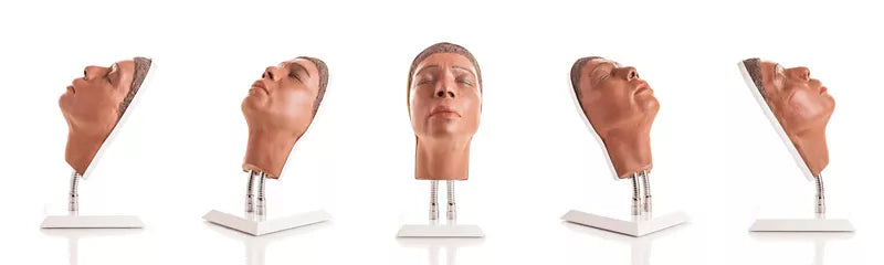Model Head for Facial Injection Training