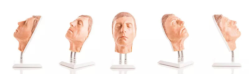Model Head for Facial Injection Training