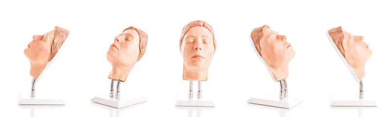 Model Head for Facial Injection Training