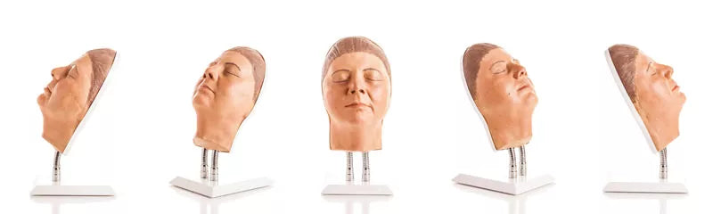 Model Head for Facial Injection Training