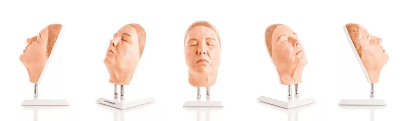 Model Head for Facial Injection Training