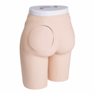 Switch Buttock Injection Model (With Muscles) 2 image