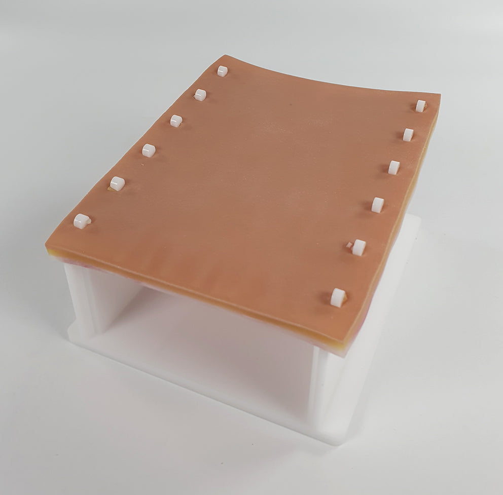 Abdominal Suture Trainer