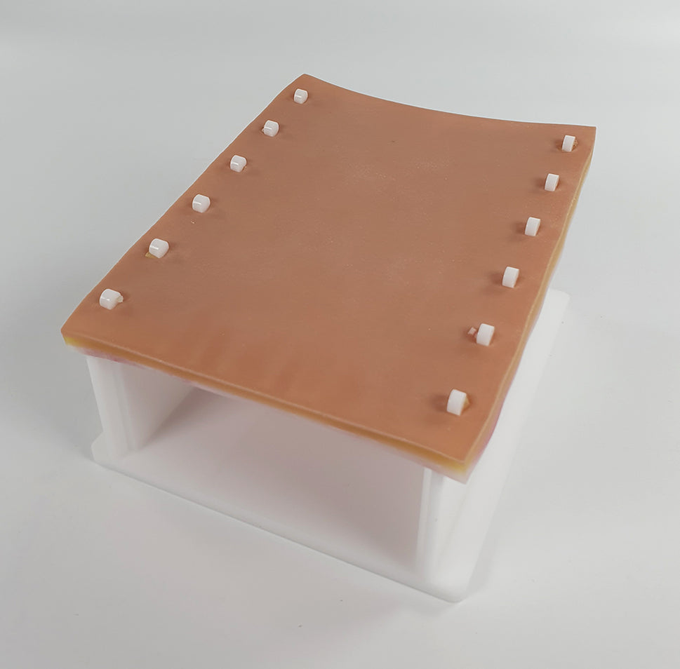 Abdominal Suture Trainer