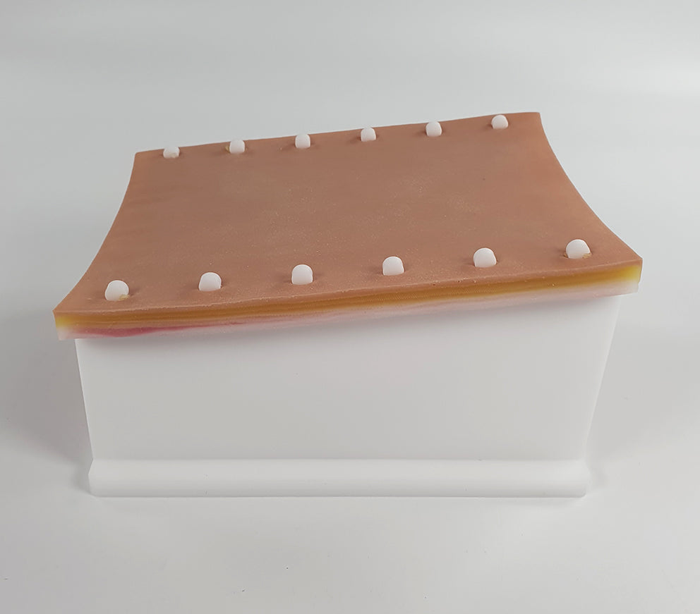 Abdominal Suture Trainer A-ABS-01 Image 2