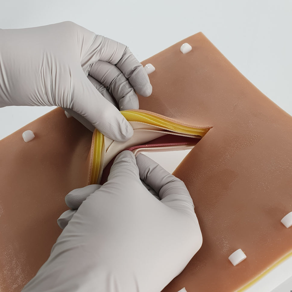 Abdominal Suture Trainer