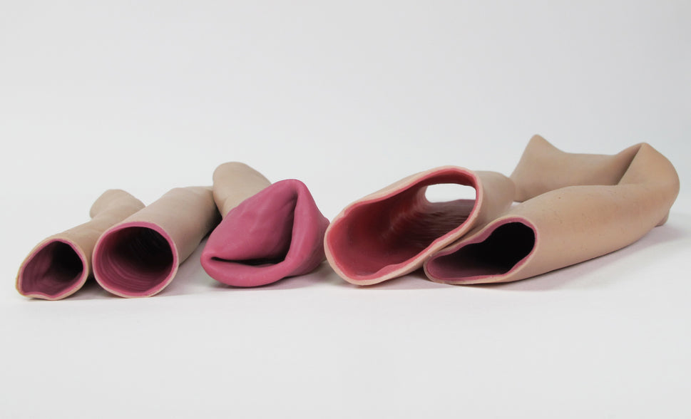 Double Layer Bowel Trainer