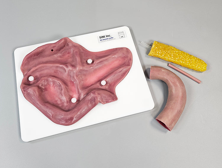 Pancreatojejunostomy Anastomosis Plate A-PAP-01 Image 4