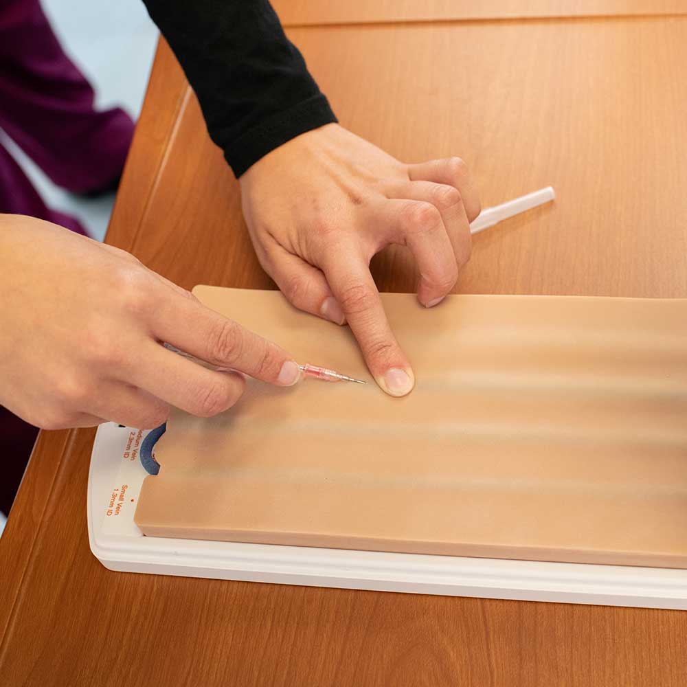 Advanced Four-Vein Venepuncture Training Aid VATA2365 Lifestyle Image 6