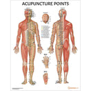 Switch Acupuncture Points chart / Poster - Laminated 2 image