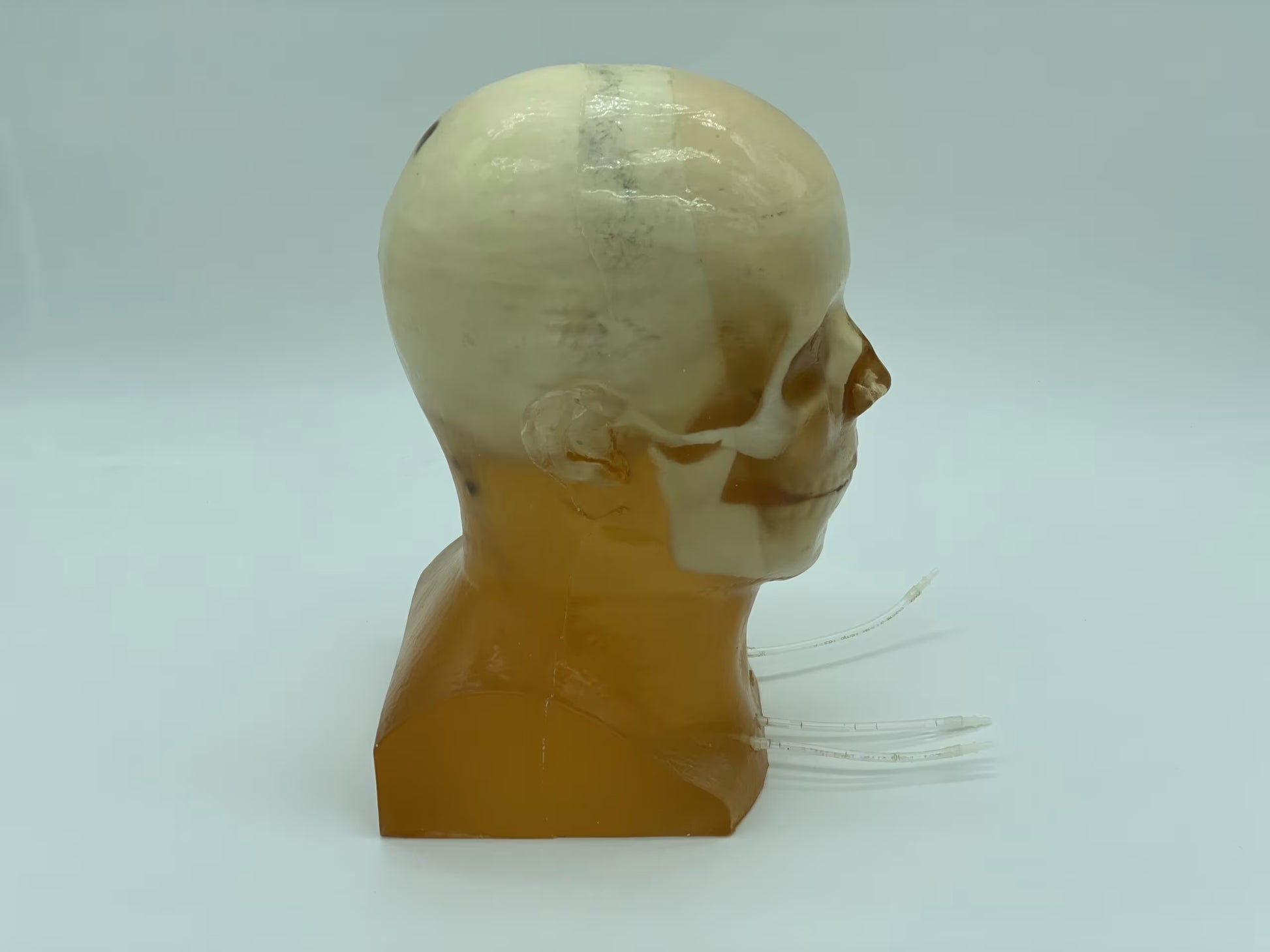 Adult Head Phantom (Standard) for X-Ray CT, US, MRI