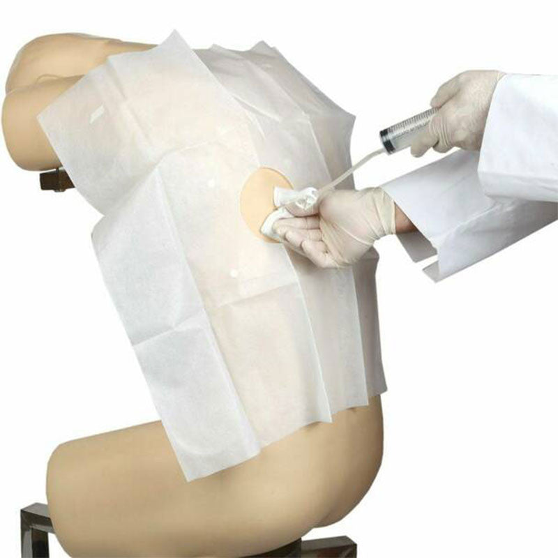 Adult Thoracentesis Simulator