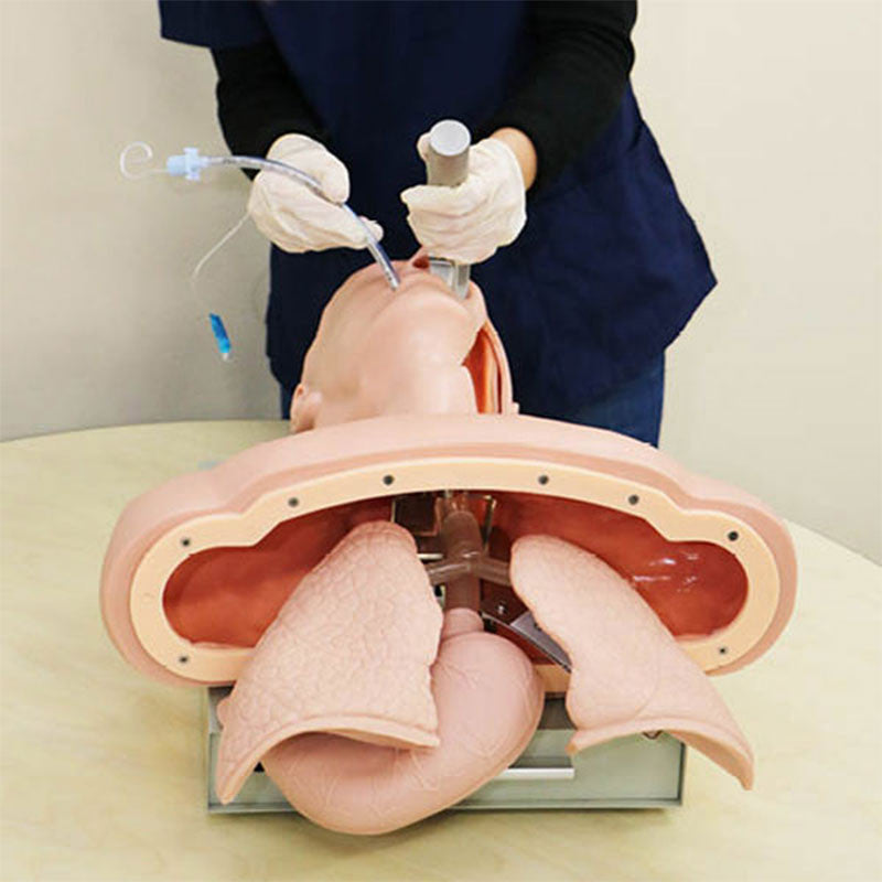 Advanced Airway Intubation Simulator