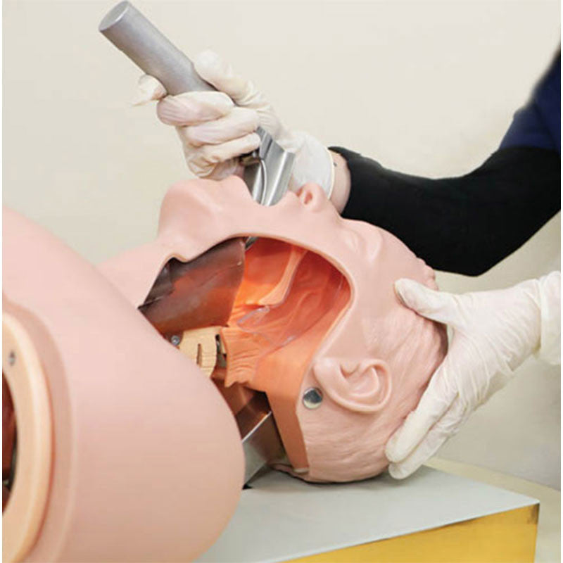 Advanced Airway Intubation Simulator