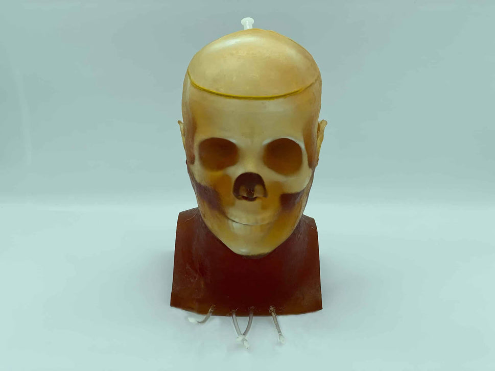 Adult Head Phantom (Dynamic, Advanced) for X-Ray CT, US, MRI