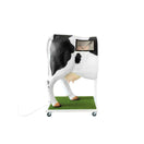 Switch Advanced Simulator For Artificial Insemination (AI) Of The Cow Right Lateral View 2 image