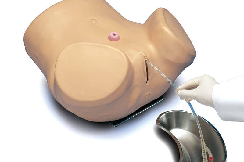 Advanced Patient Care Female Catheterisation Simulator