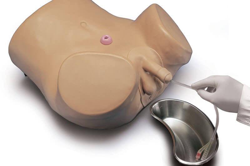 Advanced Patient Care Male Catheterisation Simulator
