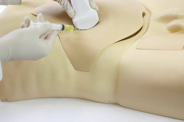 Femoral Arteriovenous Puncture and Abdominocentesis Ultrasound Training Model