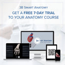 Switch Anatomy course 2 image