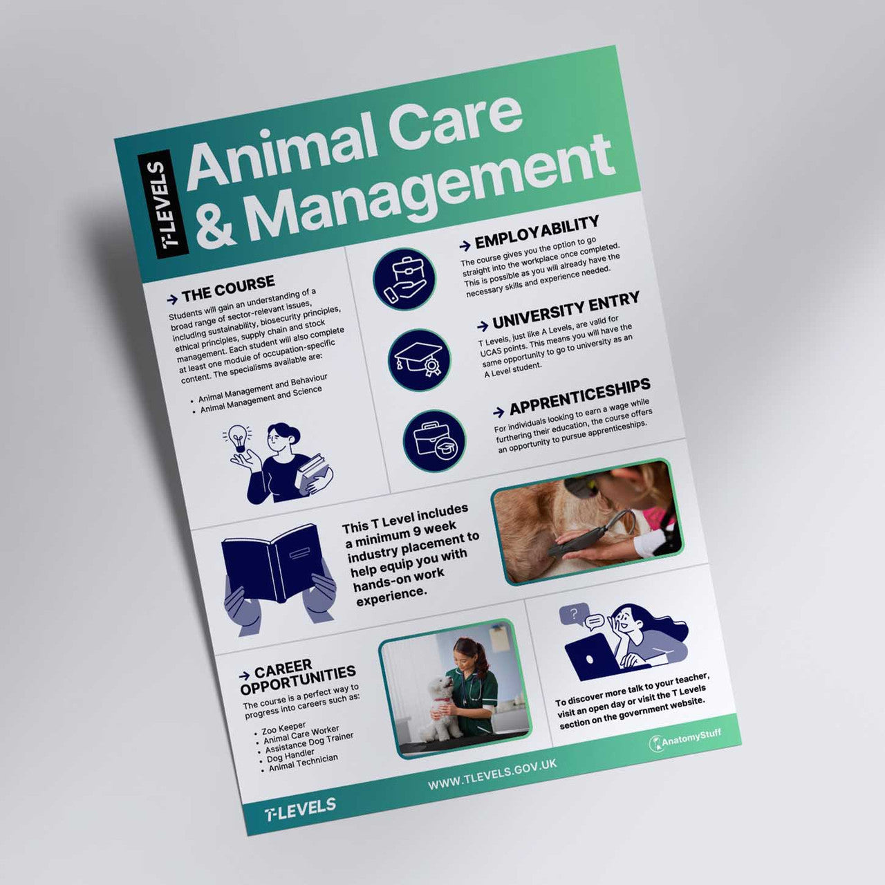 Animal Care & Management T Levels Informative Poster (Printable PDF)