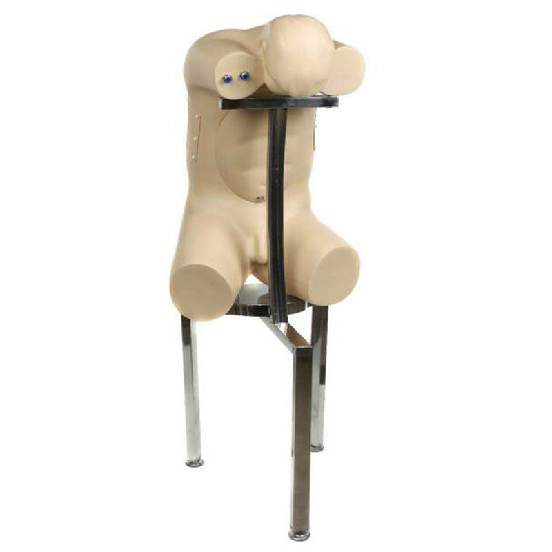 Adult Thoracentesis Simulator