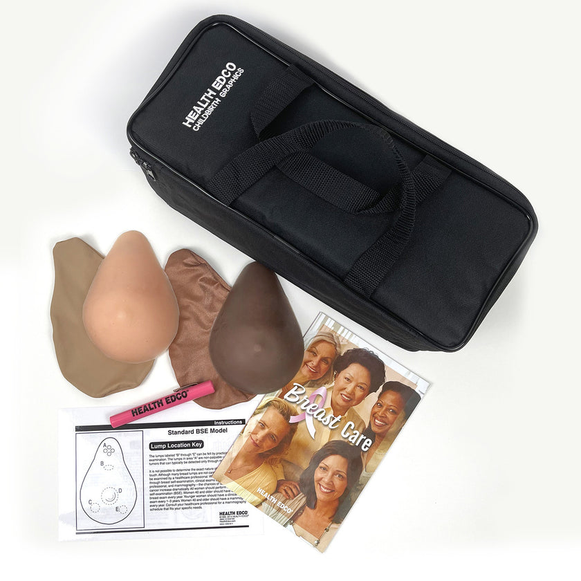 Two Breast Self Examination (BSE) Models