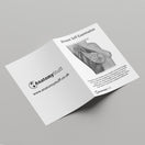 Switch Breast Self Examination Patient Education Leaflet Outer Page 2 image