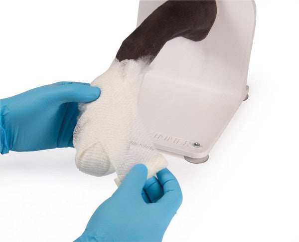 Canine Paw Bandage Trainer