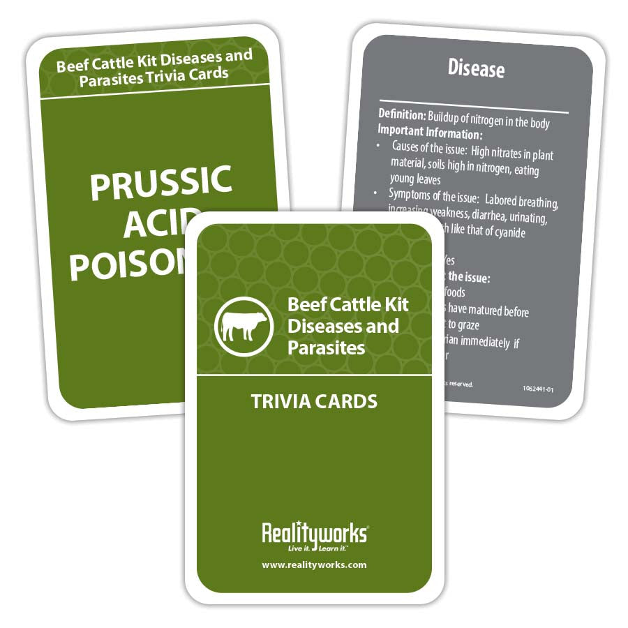 Agriculture Animal Education Kit - Beef Cattle | Anatomy Stuff ...