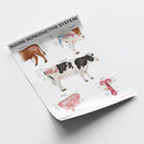 Switch Bovine Reproductive Anatomy Chart / Poster 3 image