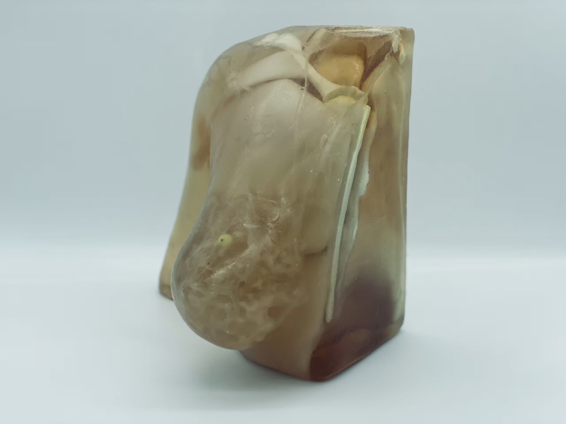 Adult Breast Phantom (Complex) for X-Ray CT, US, MRI