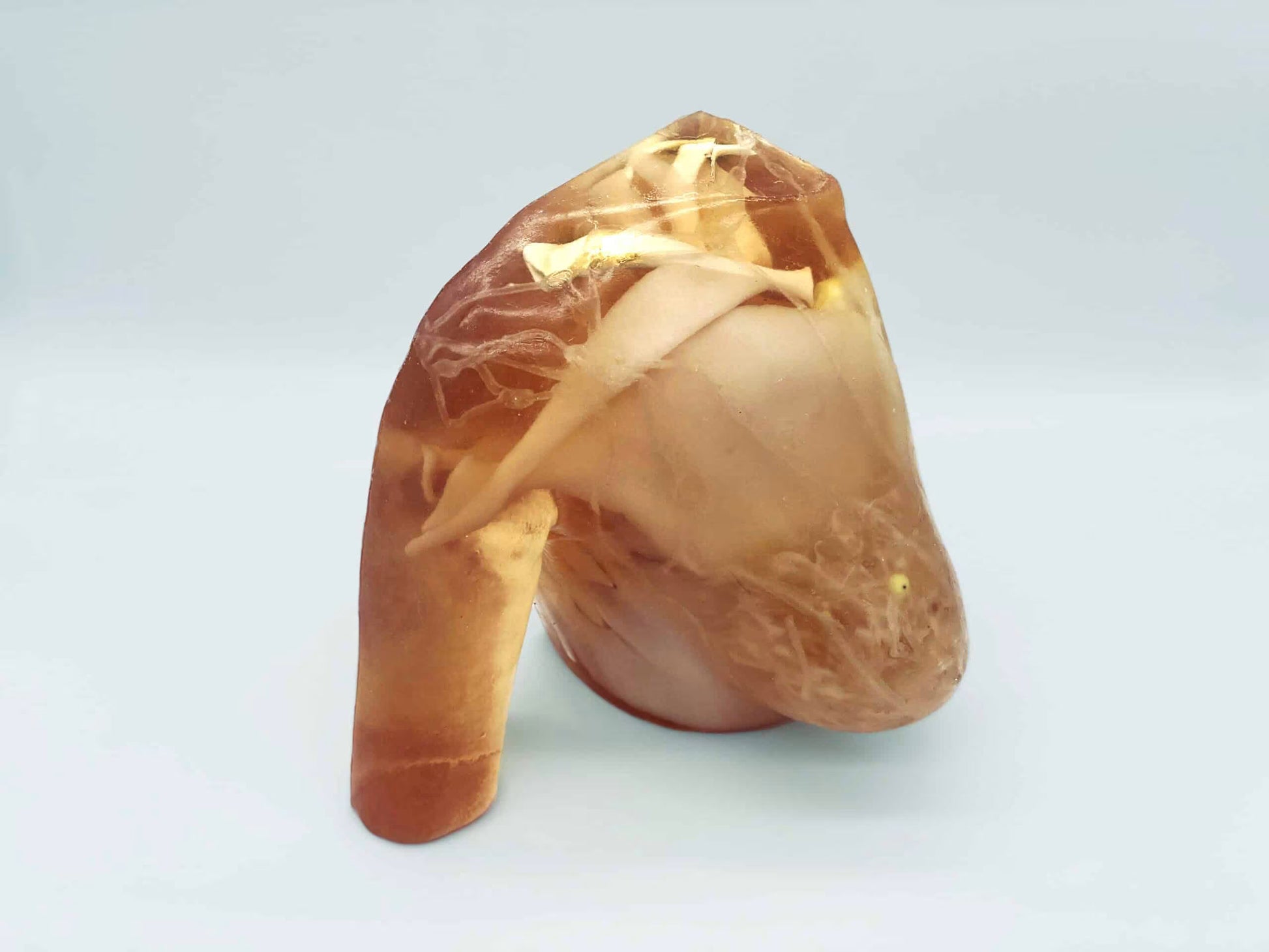 Adult Breast Phantom (Complex) for X-Ray CT, US, MRI