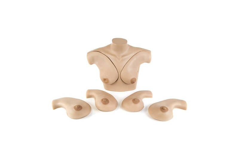 Breast Palpation Skills Trainer