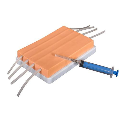 Iv Injection Pad Budget 4-Vein IV Injection Training Pad | AnatomyStuff
