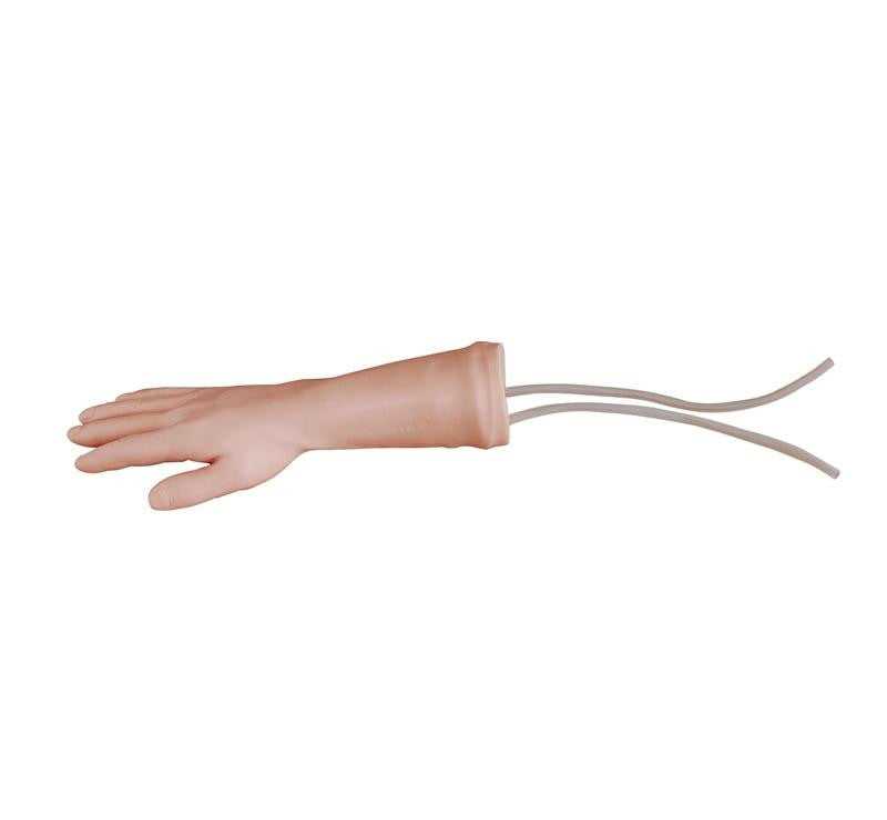 Budget IV Hand Training Model