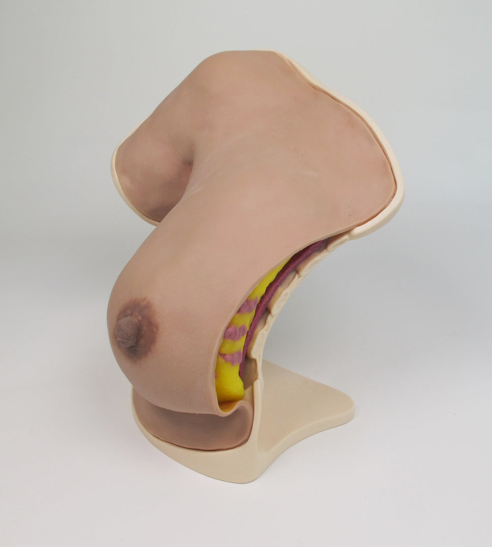 Breast Surgery Trainer