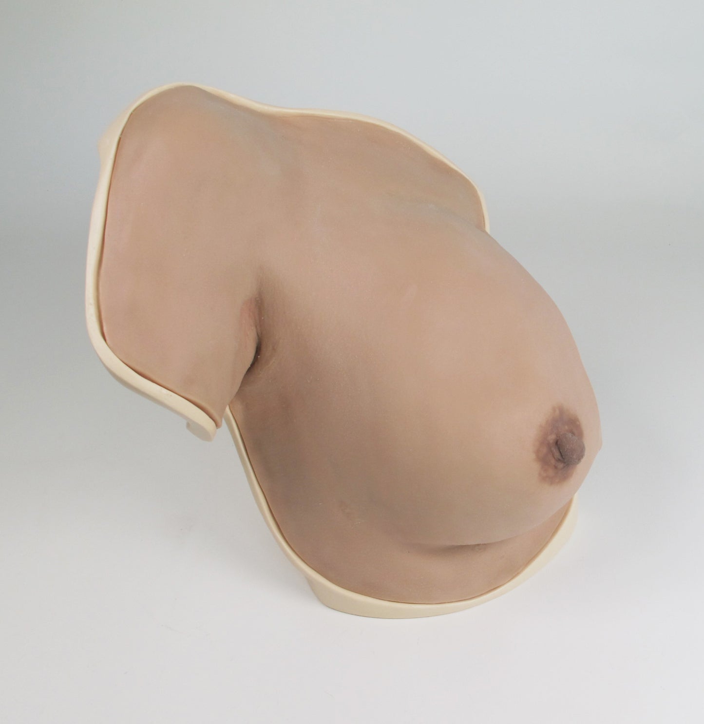 Breast Anatomy Model Half C-BAH-01 Image 4