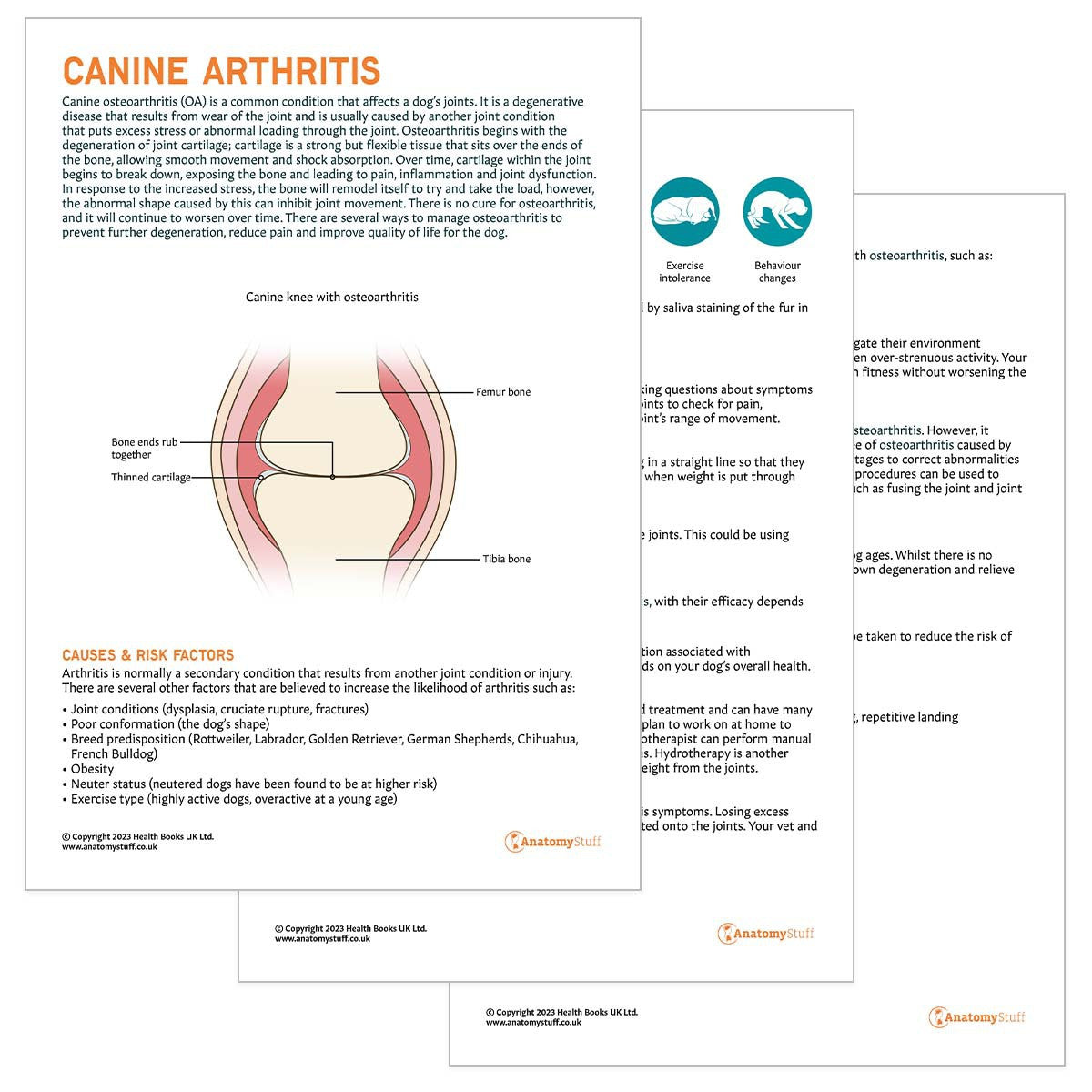 Dog Arthritis Pet Owner Education Handout