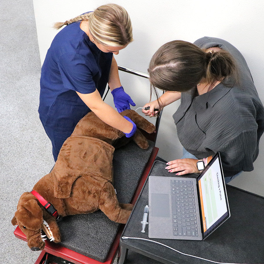 Pulse Palpation Simulation on the Canine CPR Trainer