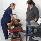 Switch Chest Compressions on the Canine CPR Trainer 2 image