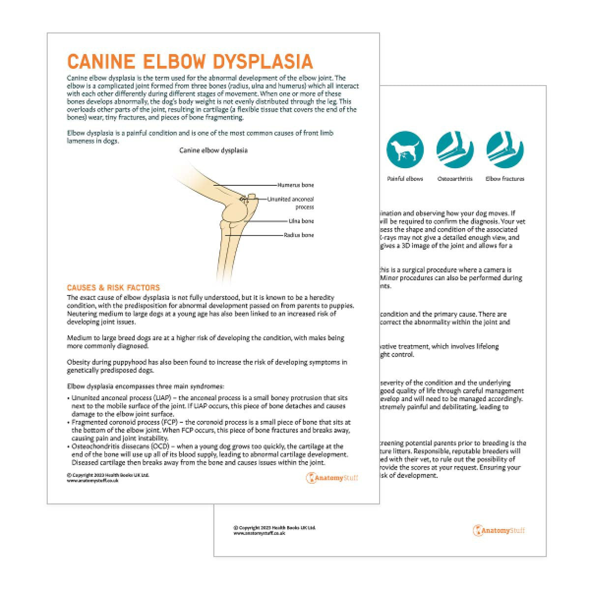 Canine Elbow Dysplasia Pet Owner Education Handout