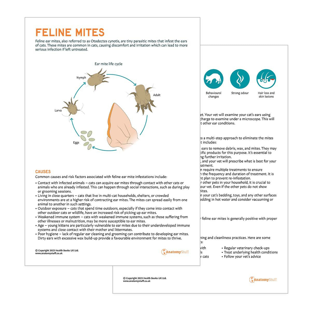 Feline Mites Pet Owner Education Handout