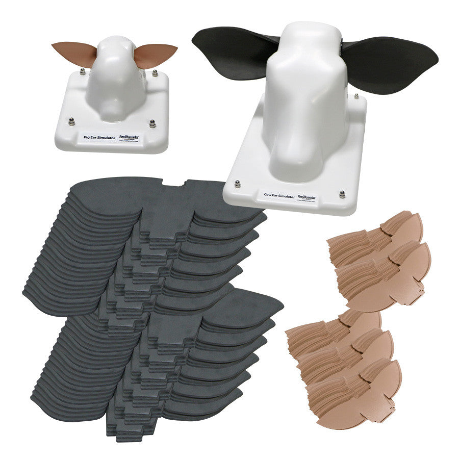 Cow and Pig Ear Simulator