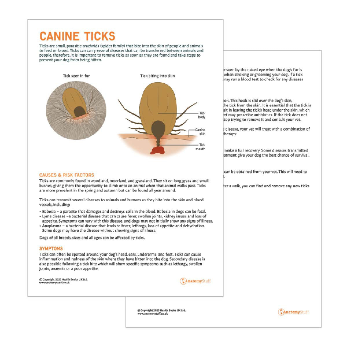 Canine Ticks Pet Owner Education Handout